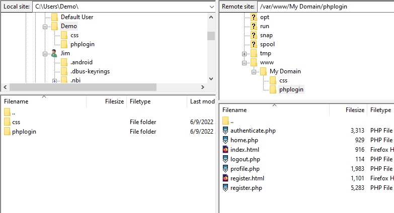 Demo phplogin File Structure